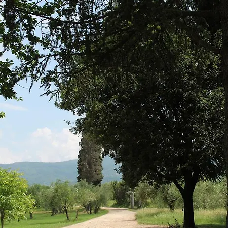 La Cascianella * Флоренция