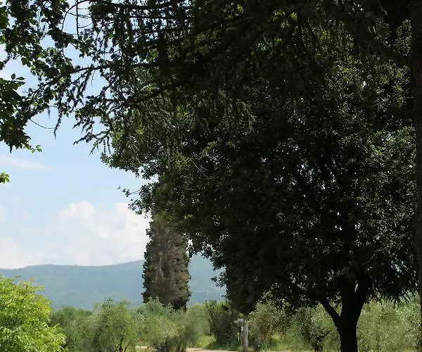 La Cascianella * Floransa